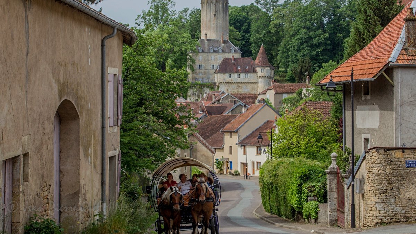 Balade en Calèche