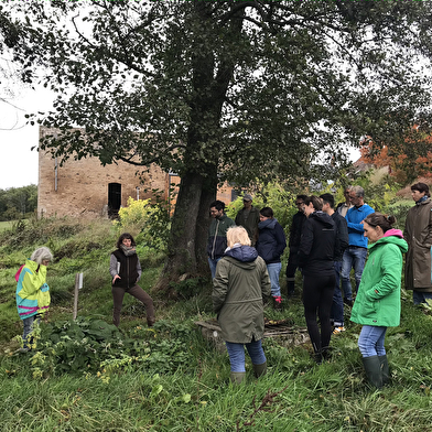 Stage d’initiation à la permaculture