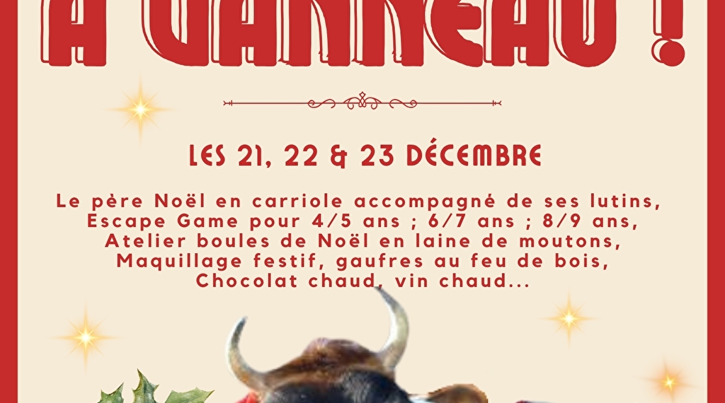 Viens fêter Noël au Moulin de Vanneau