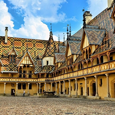 De Dijon à Mâcon - Le Meilleur de la Bourgogne