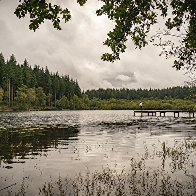 Etang des Cloix