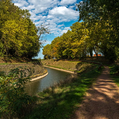 Visite guidée de la tranchée de Génelard