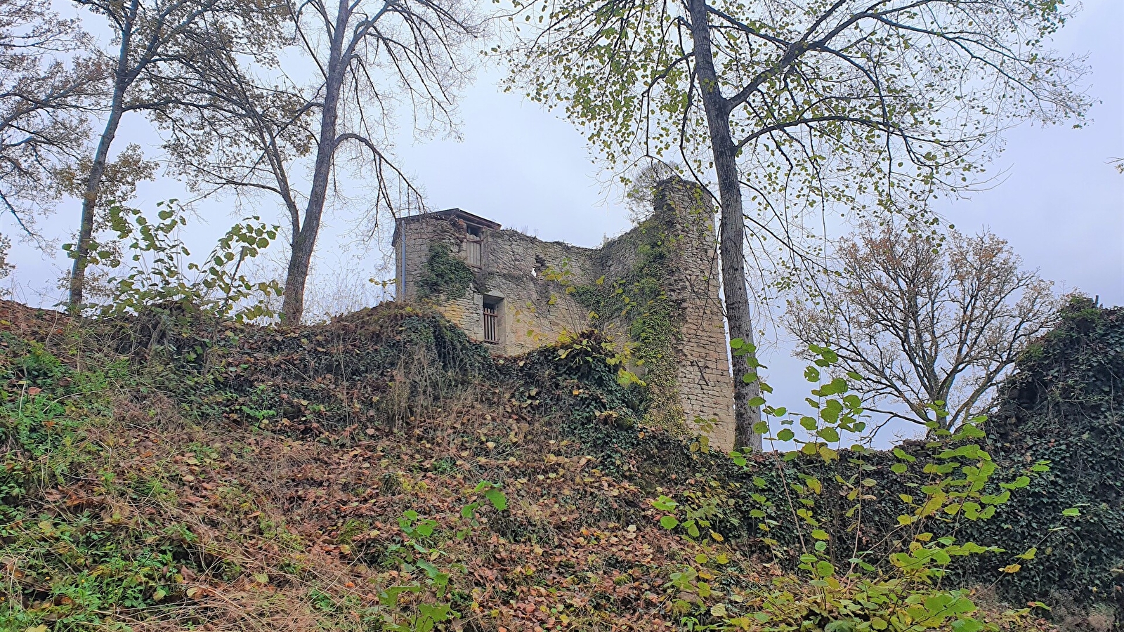 Château de Vautheau