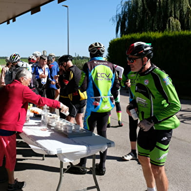 47ème rallye des vendanges (rando vélo)