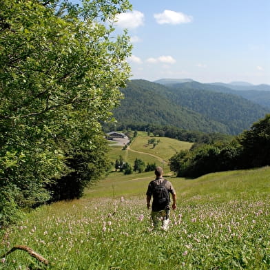 Le sentier du souvenir