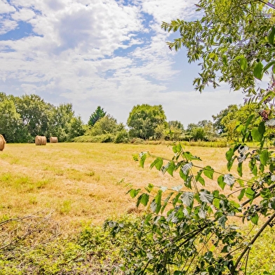 la Ferme du Theu