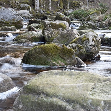 L'eau de la rivière au robinet