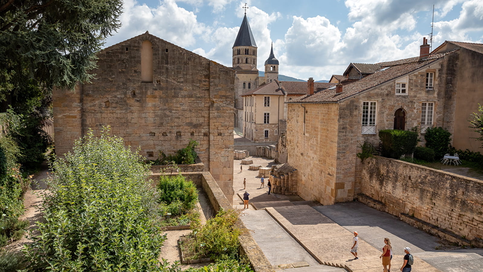 Le végétal dans Cluny du Moyen-âge à nos jours