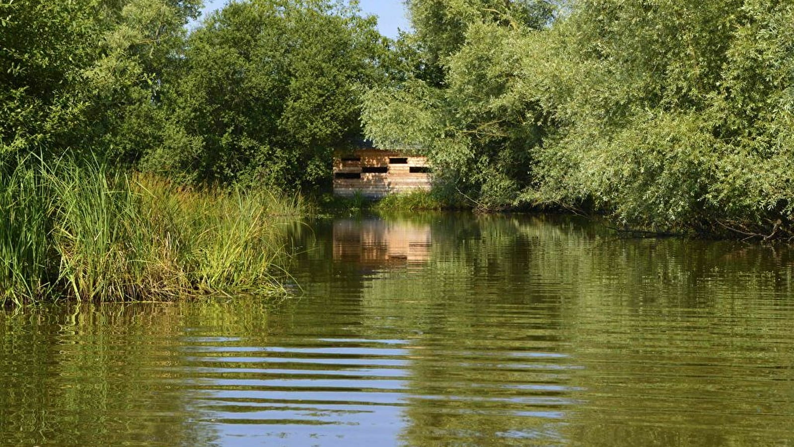 Semaine des ENS de Saône-et-Loire : Le marais de Montceaux-L'Etoile