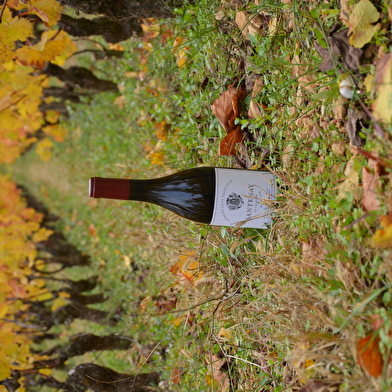 Domaine Clos Saint Jean