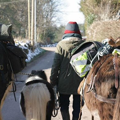 Balade à pied d'une journée avec âne, cheval et poney