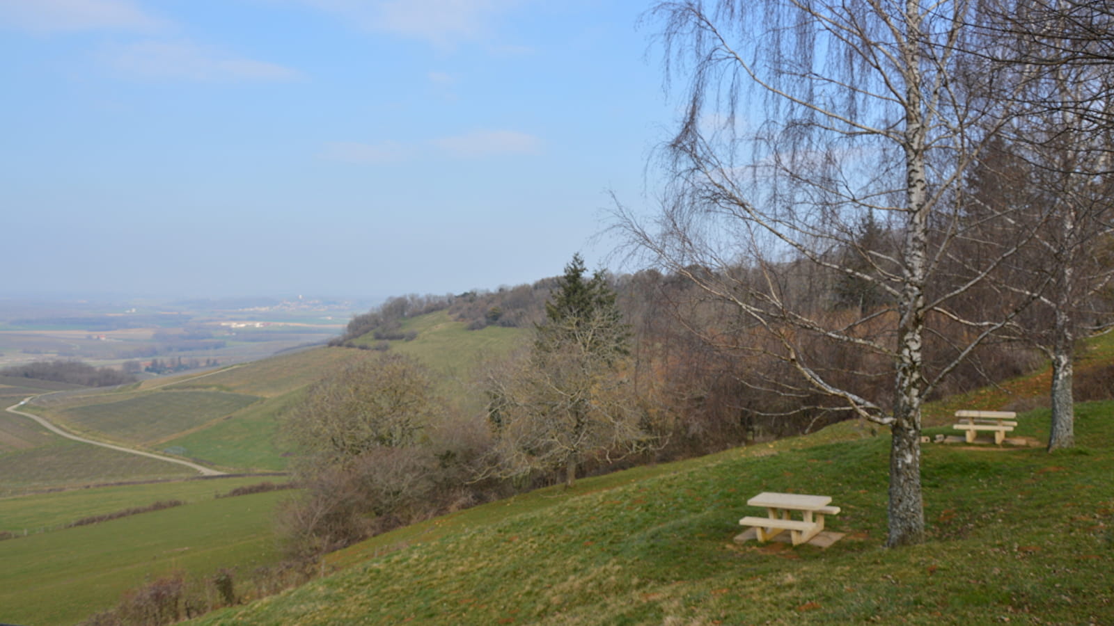 Belvedere du vignoble de Pupillin