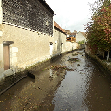 L'eau milieu vivant