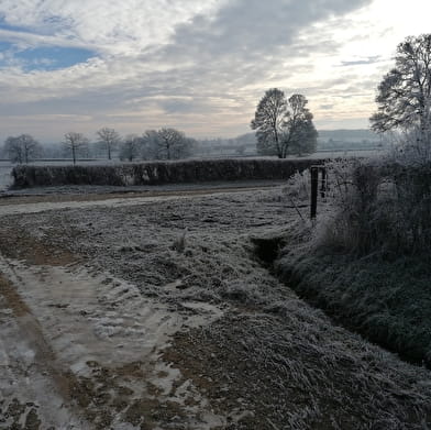 Circuit de Vertenay - Cuncy-lès-Varzy