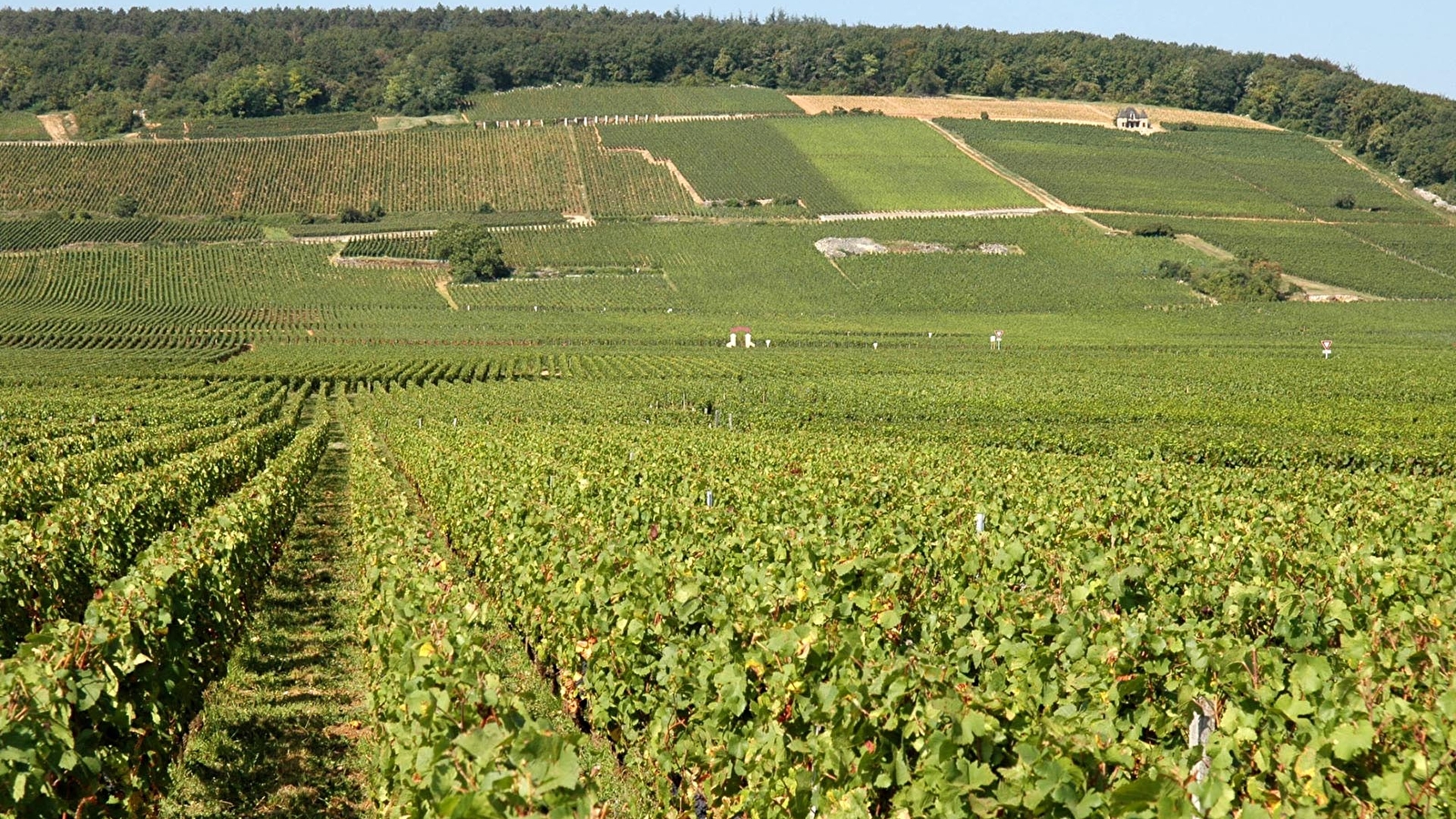 Sentier des biques