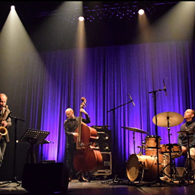 Frederic BOREY BUTTERFLIES TRIO LIVE JAZZ