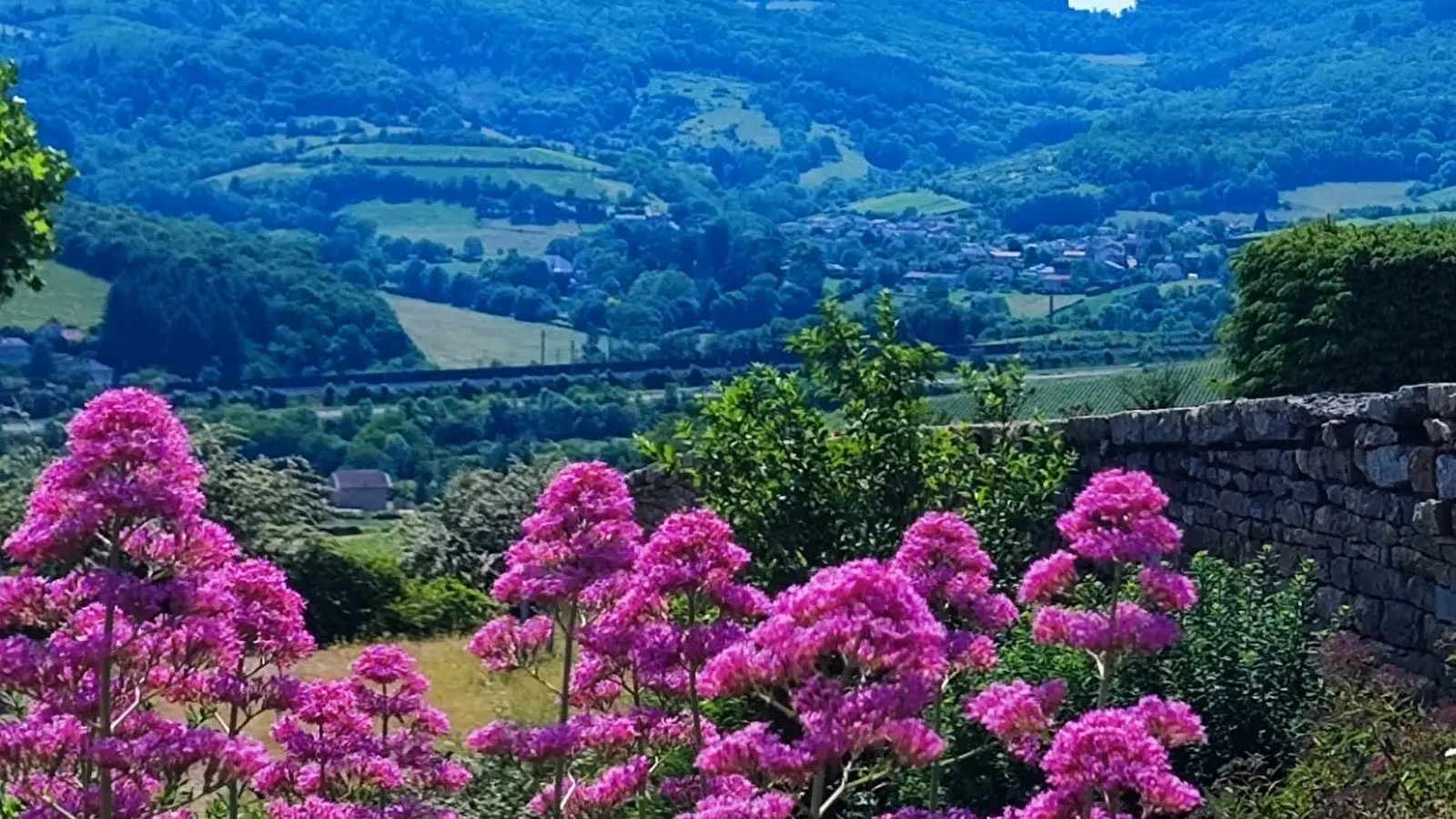 NaturGourmandes : Berzé-la-Ville