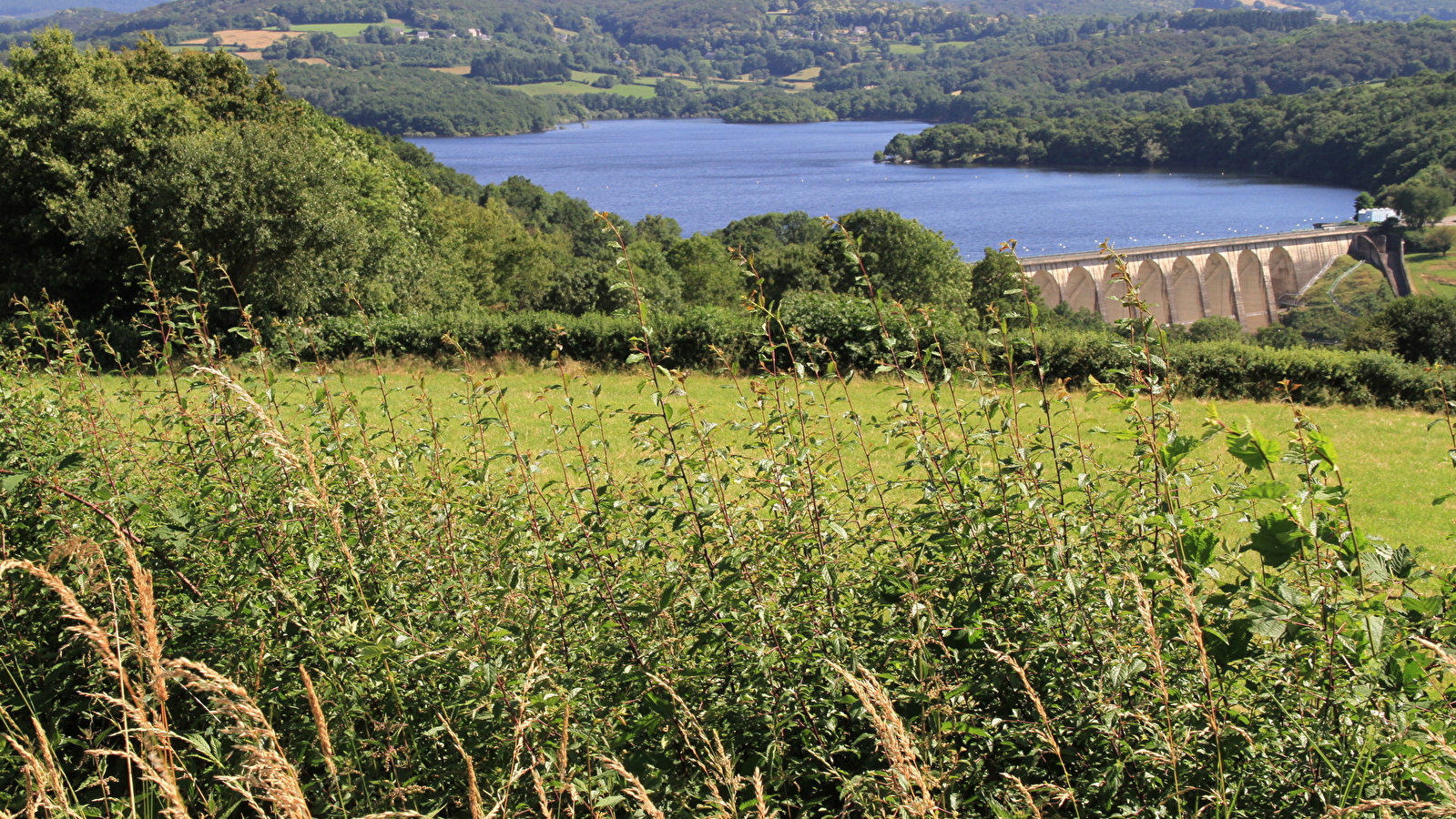 Balade nature au cœur du Morvan : le lac de Pannecière