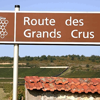 Vignobles et canaux de Bourgogne à vélo