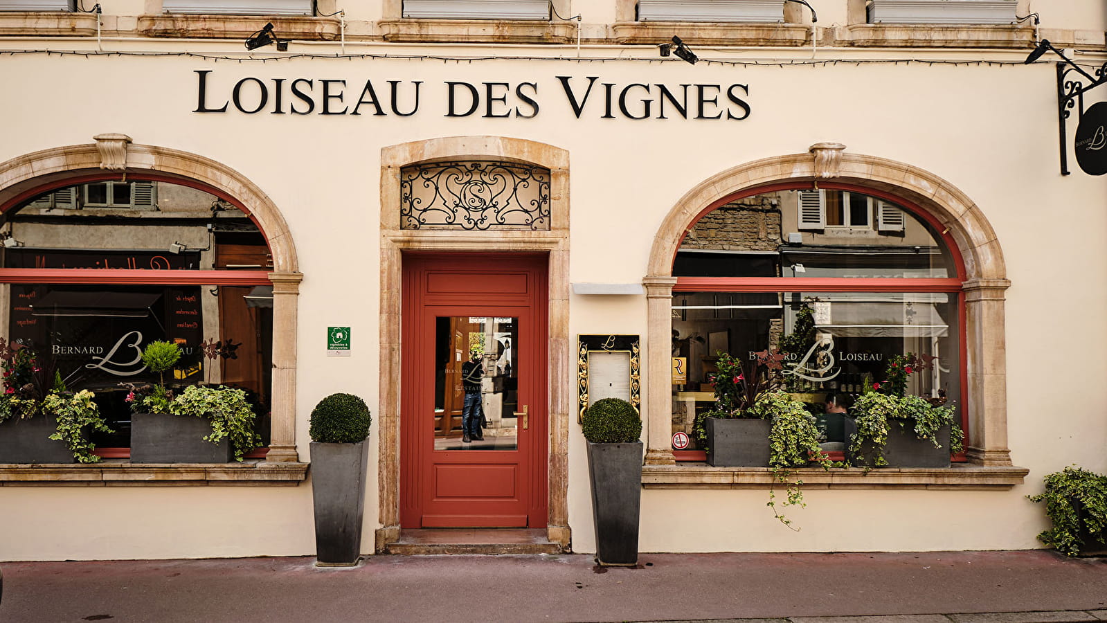 Loiseau des Vignes