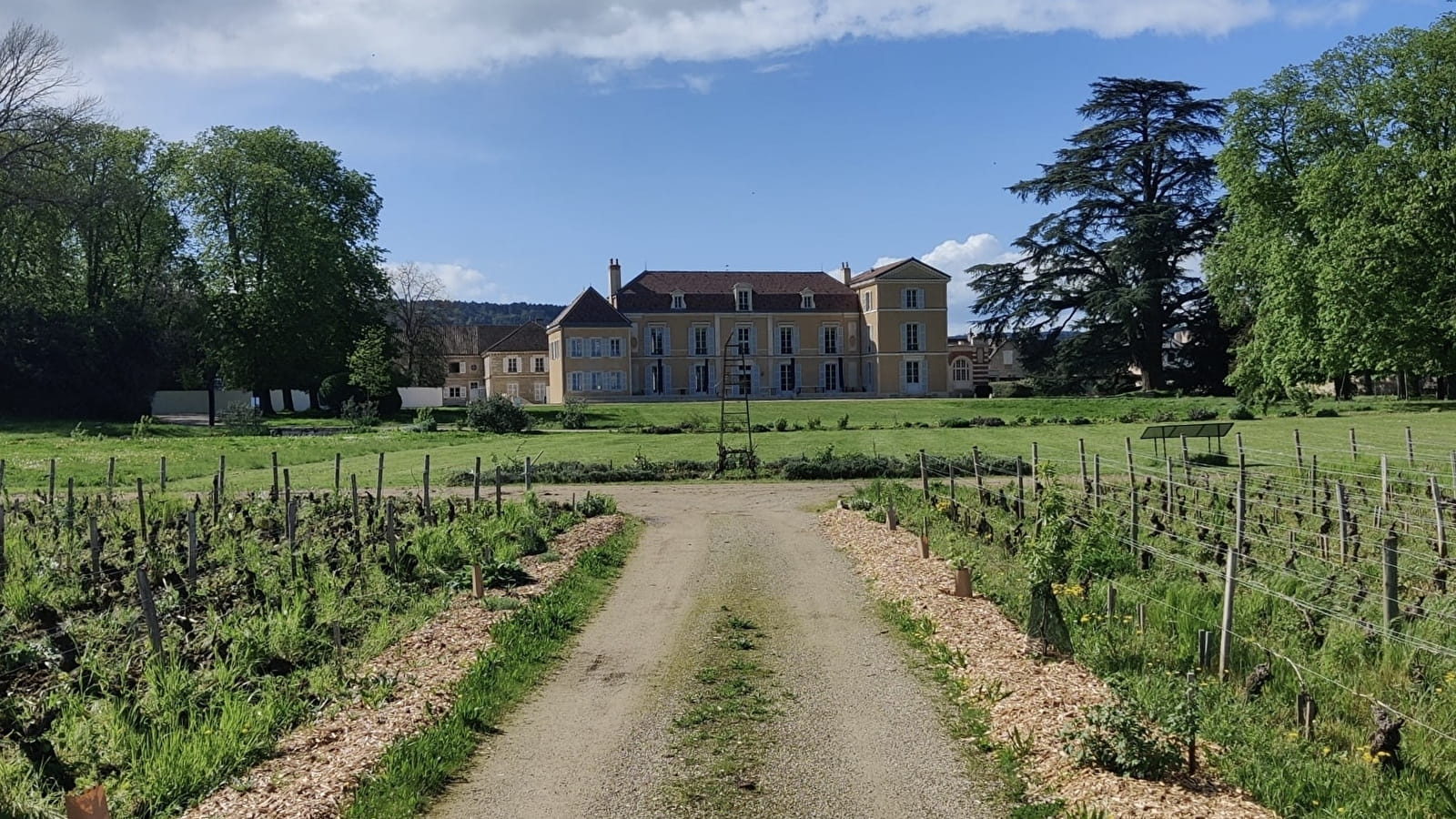 Château de Meursault - Dégustation 'Vente des Vins' - 2024