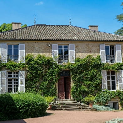 Des vignobles au Val Lamartinien - De Mâcon à Bourgvilain