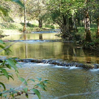 Le mont de Guillon