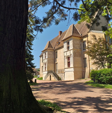 Le végétal dans Cluny du Moyen-âge à nos jours