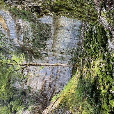 Source du Bief de la Ruine et Creux des Joyaux