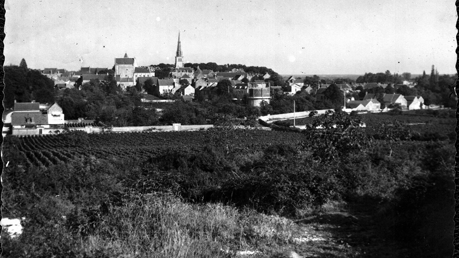 Meursault noir sur blanc - visite guidée nostalgique