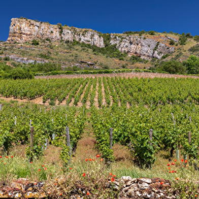 Sur les sentiers du Sud Bourgogne - De Milly-Lamartine à Mâcon Loché