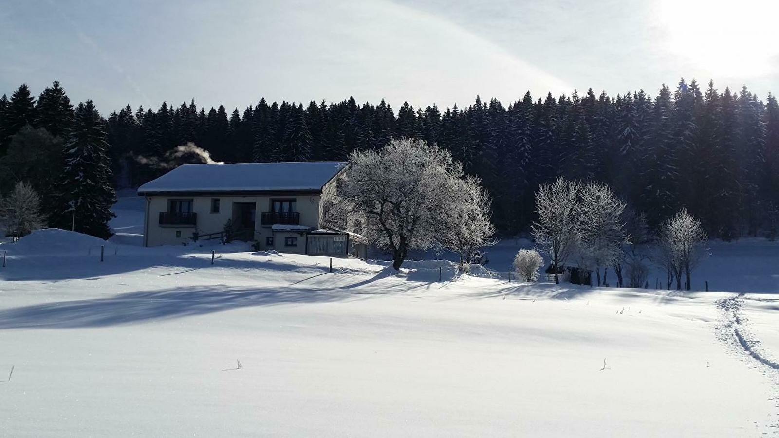 Appartement L'Écureuil - MV Vacances