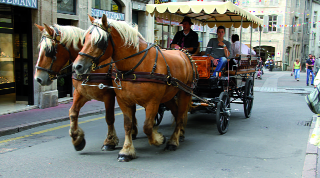 Balade en calèche