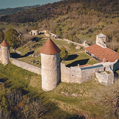 Visites guidées  - portes ouvertes au Château de Chevreaux