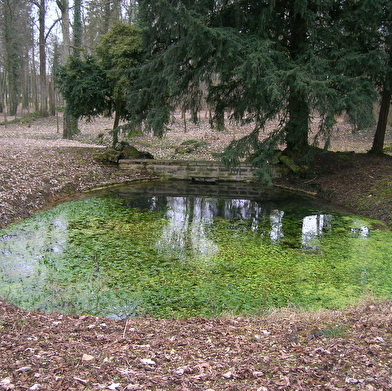 Balades naturalistes sur la nappe de Dijon Sud et de la Cent Fonts - Parcours 1 (Fénay-Saulon-la-Rue) - ENS2025