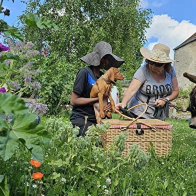 Les Olympi’ Ânes du Fantastic Picnic de Saint Germain le Rocheux