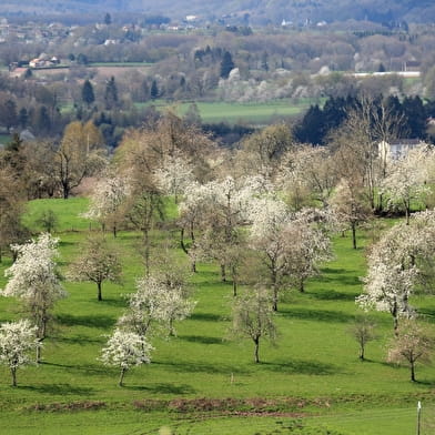 Point de vue sur les vergers à Blanzey