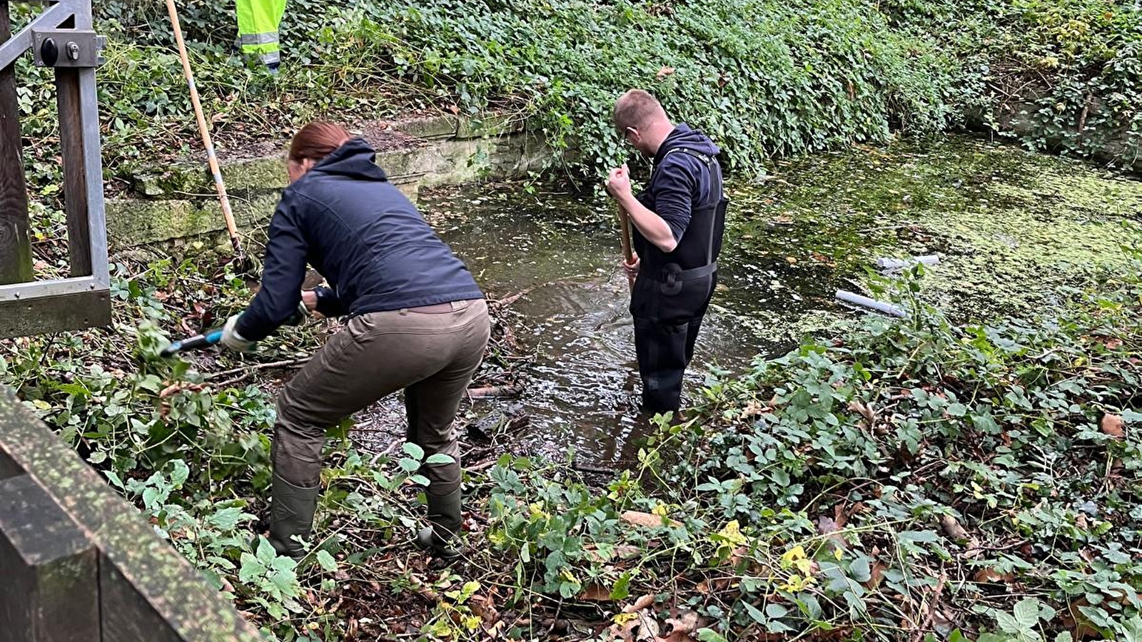 Chantier nature au bois du Ru de Pouilly_ENS2025