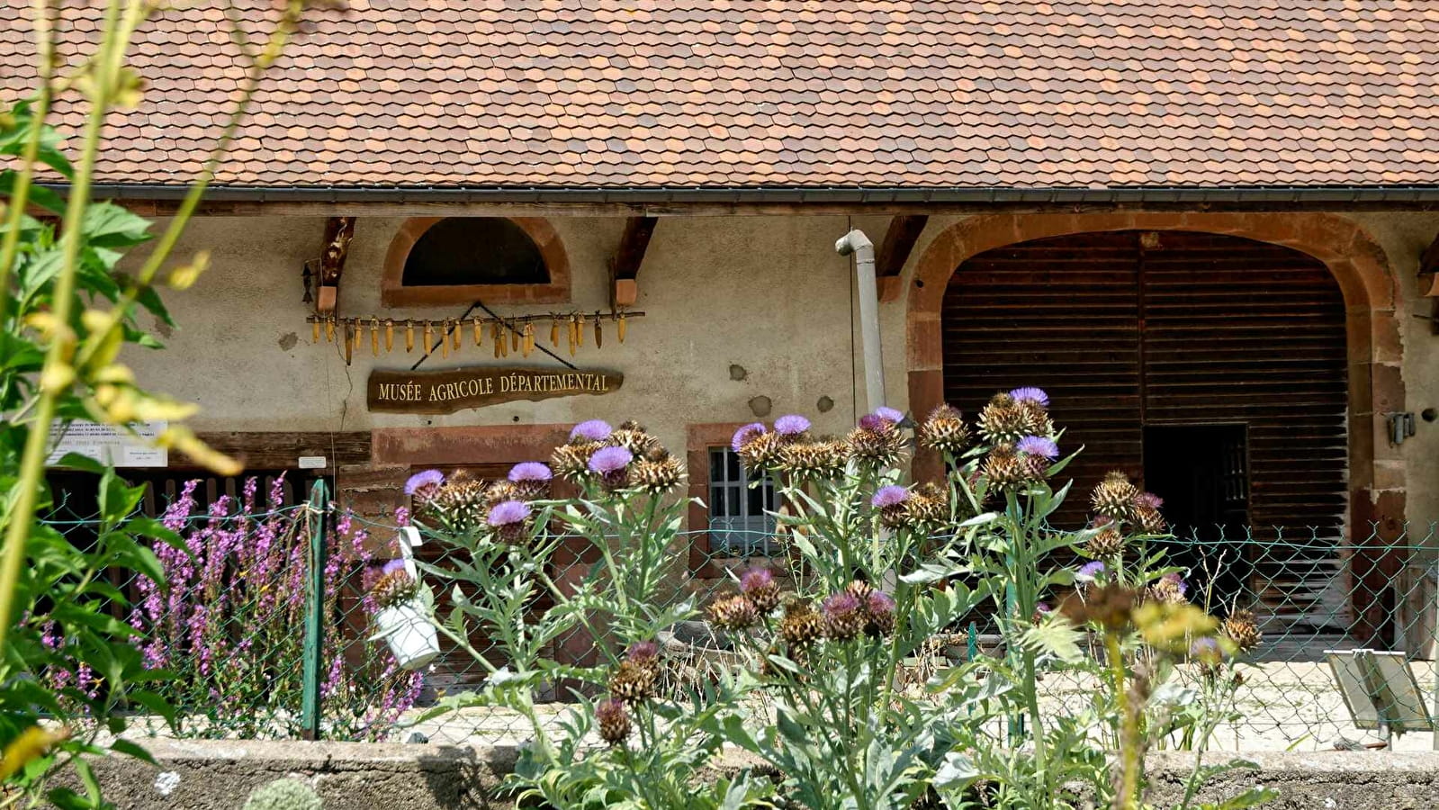 Journée du patrimoine au Musée Agricole de Botans 