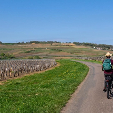 La Bourgogne à Vélo - Location et livraison de vélos