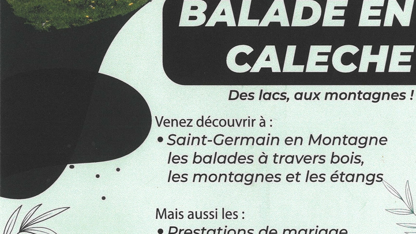 Balade en calèche des lacs, aux montagnes !